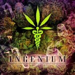 Ingenium Logistics Delivery 