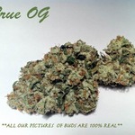 Breath of Life 10AM TO 10PM