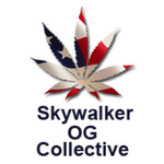 Skywalker OG Collective