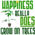 Aloha Deliveries - Open 24/7 305.305.0731- SC Lab Tested Medicine