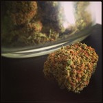 Budzoom Delivery