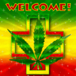 OASIS HERBAL CENTER
