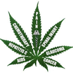 THE HOLISTIC PHARMACY 35 CAP
