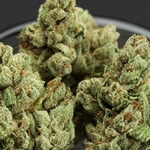 Herbal Sensations