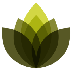 Alternative Essence