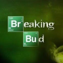 Breaking Bud 20 Cap