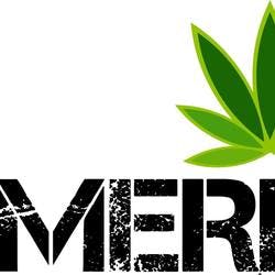 Ameri