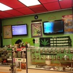 RESEDA T.H.C 