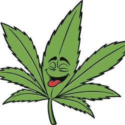 Monterey Holistic