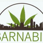 Barnabis