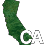 Dale Patient Association