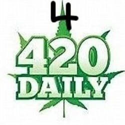 4420 Collective