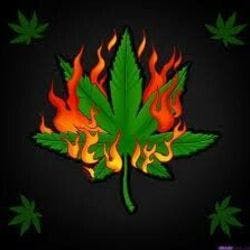 Fire Herbs