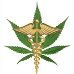 PDXMEDS