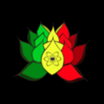 New Age Botanicals