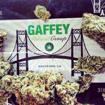 Gaffey Patient Group 35CAP