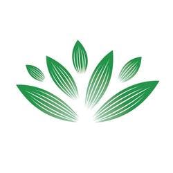 AmediCanna Dispensary