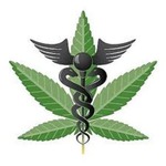 MMJ Natural Remedies, LLC
