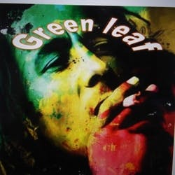 Green Leaf Collective
