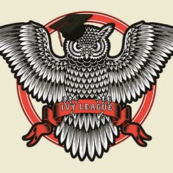 Ivy League Cannabis - S. Telephone Rd.