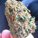GMMG - Socal's Preferred Delivery Service! (310) 612-9140