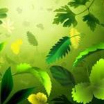 Emerald Garden Delivery Free Gift 