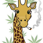 BudsRus