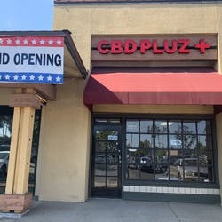 CBD Pluz