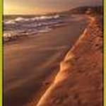 BEACH CITIES COLLECTIVE Capo Beach