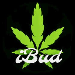 iBud