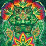 The Holistic Choice Collective
