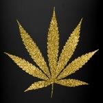 GOLD 20 Cap Collective