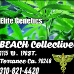 Clones Beach Collective Clone Center