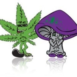 Bongs and Such Plus