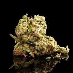 Green Dream Caregivers 24 Hours