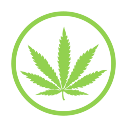 CBDNOL
