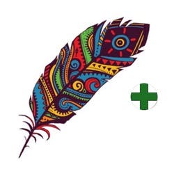 American Shaman