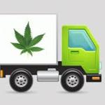 Green Birds Delivery