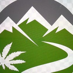 HARVEST COLLECTIVE 247