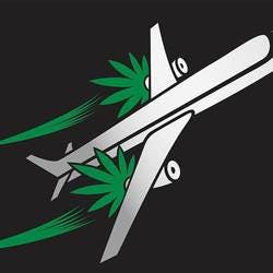 Cali Green
