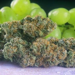 Green Grapes, Capes and Vapes