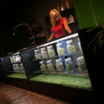 Grass Gallery