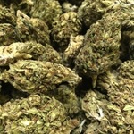 Leimert Park Collective - Western Avenue Caregivers