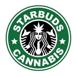 Starbuds