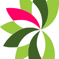 Bow Cannabis