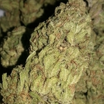 Natural Meds