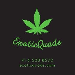 Exotic Quads