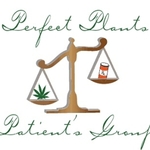 3PG - Perfect Plants Patients Group