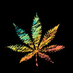 Gravity Dispensary