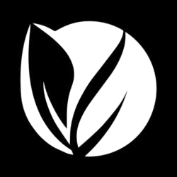 F STREET DISPENSARY